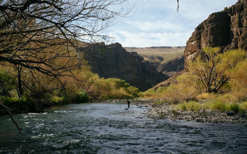 riverspichileufu1-fly-fishing-patagonia-bariloche-lakes-rivers-hatch-trout-brown-rainbow-adventure-rods-mayfly-stonefly-guides-camps-trips-fontilalis-outfitters-catch-realese